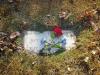 media/HiltonLeeGrant-headstone.JPG